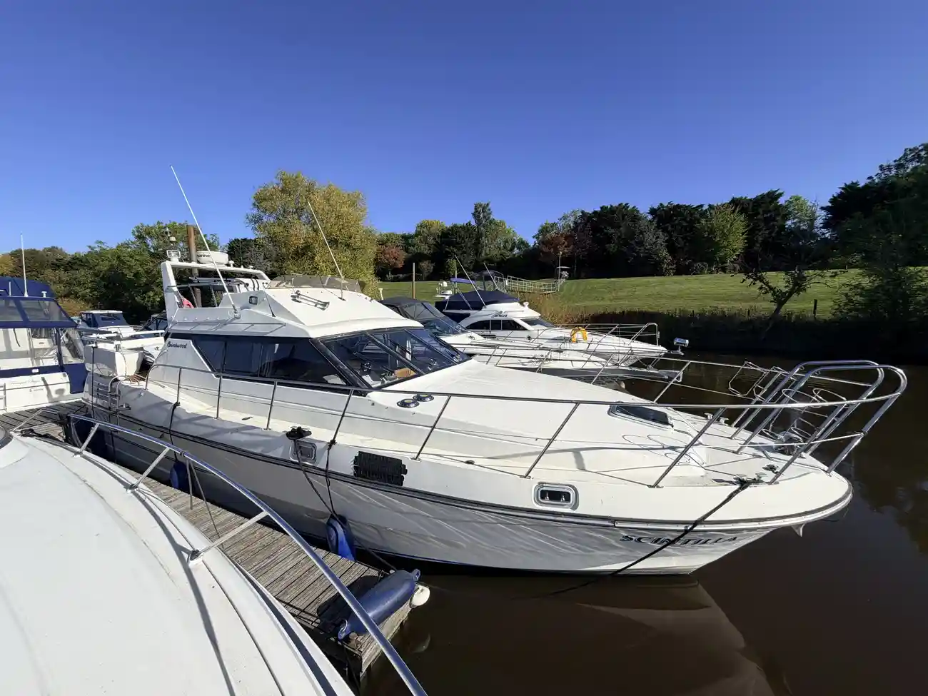 Birchwood TS37